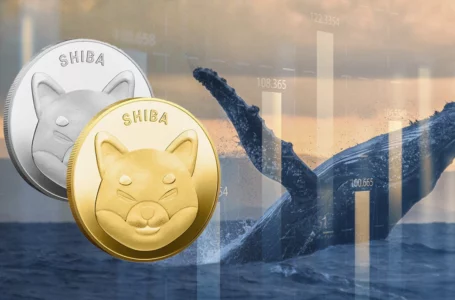 Shiba Inu Remains Largest Token Held by Whales as SHIB Price Rises 15%