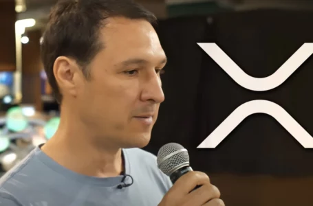 Jed McCaleb Now Has 114 Million XRP Left: Report