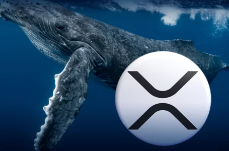 18 Million Worth of XRP Now Controlled by Largest BSC Whales: Details
