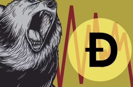 DOGE Creator Speaks on Expectations for Bear Market
