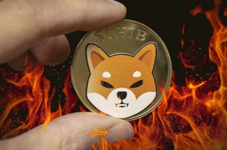 Shiba Inu Burn Portal Hits Another Significant Milestone in Amount of SHIB Burned