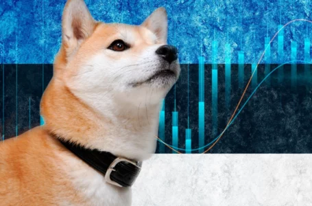 Shiba Inu, BONE and LEASH List on Leading Estonian Exchange: Details