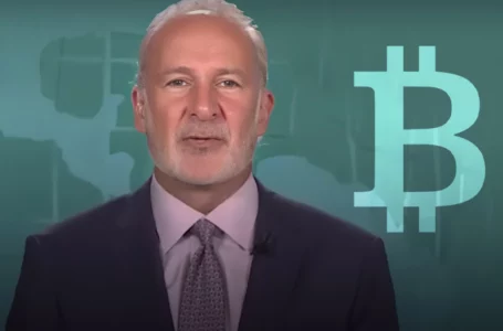 BTC Whales Are Selling, Could Be Buying to Draw in More Suckers and Sell Again: Peter Schiff