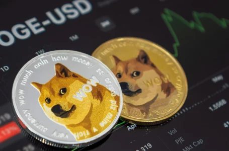 1.7 Million Dogecoin Shifted Anonymously for Fees Unimaginable for Banks