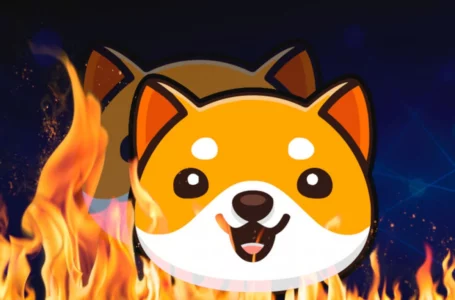 BabyDoge Spikes 14% as 14 Trillion BabyDoge Burned Within 24+ Hours: Details