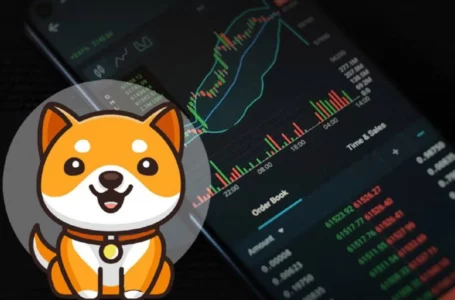 BabyDoge Outperforms the Whole Cryptomarket, What’s Happening?