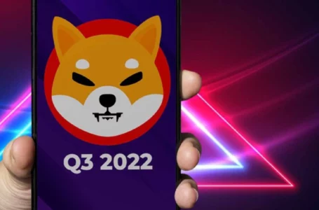 Shibarium Public Beta May Launch in Q3, 2022