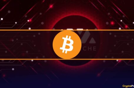 Avalanche Launches Bitcoin Brdige Through Web3 Wallet Core