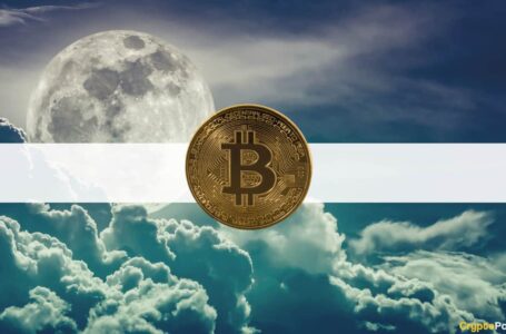 Bitcoin’s Price to Skyrocket by the Year’s End, Predicts deVere Group CEO
