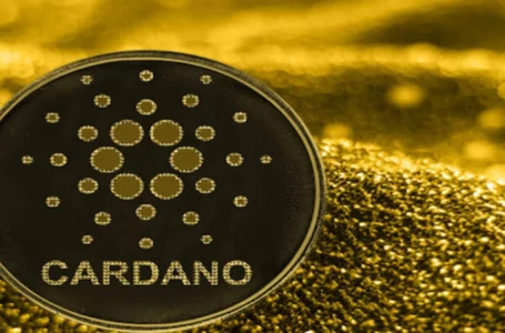 These 3 Factors To Give Nod To Cardano’s Vasil Hardfork! But Is Another Important Launch On The Horizon?