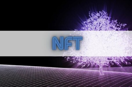 Central Bank of Taiwan Warns Investing in NFTs Could Be Dangerous (Report)