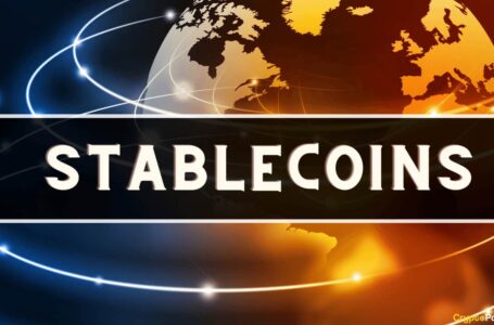Stablecoin Dominance Hits All-Time High as Crypto Winter Deepens