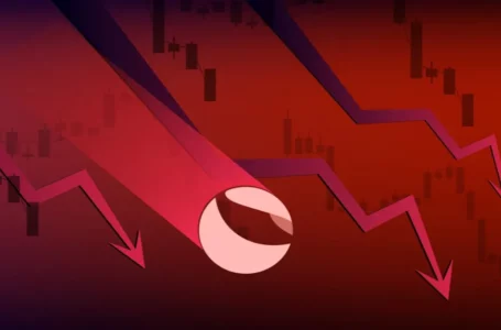 Large Investors Exit While Retailers Continue to Buy During UST Crash – Report