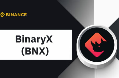 BinaryX (BNX) Review: All You Need To Know