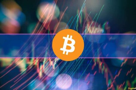 Market Watch: Cardano Gains Another 3% While Bitcoin Still Flirts With $30K