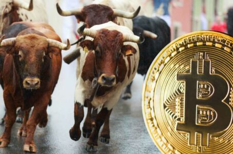 Devere Group Predicts a Bull Run and ‘Significant Bounce’ for Bitcoin in Q4