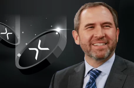 Report: Ripple CEO Brad Garlinghouse Hints at Future Mergers and Acquisitions