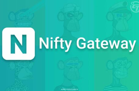 Nifty Gateway Review: All You Need To Know