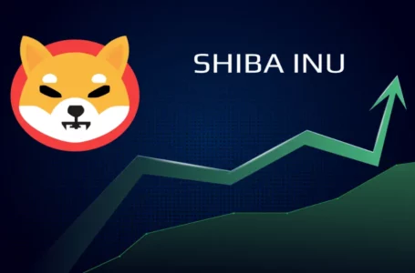 Shiba Inu Adds Up Another Zero To Its Price Tag! Is This A Sign Of An Incoming SHIB Run?