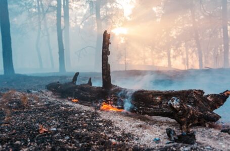 Mike Novogratz says crypto crash is almost done, price to remain sideways