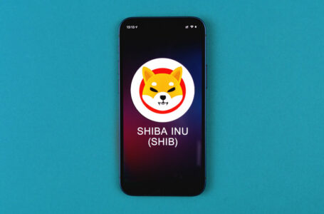 Shiba Inu to launch a new stablecoin. Is it a buy?