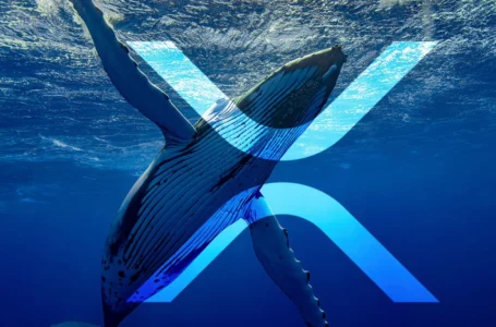 Record 574 Million XRP Moved, 270 Million Shifted by Anon Whale in Single Chunk