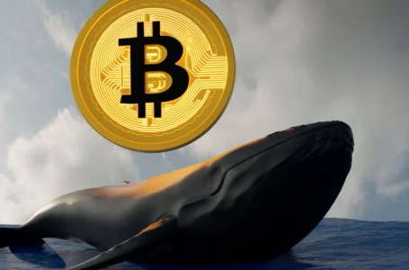 Bitcoin Whales Now Control 45.6% of BTC Supply & Continue to Aggressively Accumulate