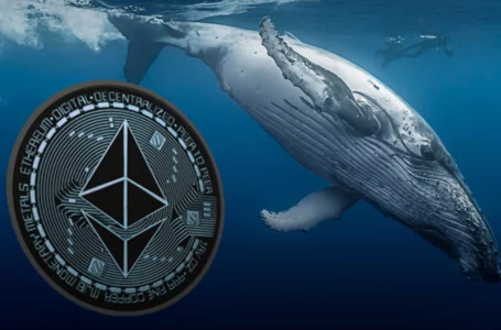 Ethereum’s 39% Price Decrease Is Accompanied by Large-Scale Whales’ Purchases