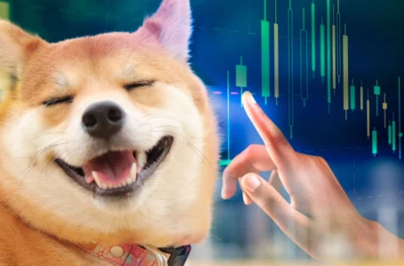 Shiba Inu’s Lead Dev Has Something to Say to SHIB Community; Price Consolidates at Support