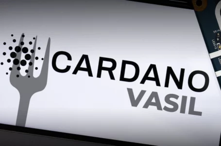 Here’s Key Feature That Cardano Receives After Vasil Hardfork