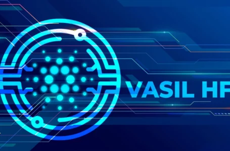 This Rare Cardano Smart Contract Usage Might Be Possible After Vasil HFC: Details