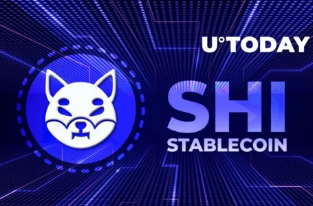 Shiba Inu’s Lead Dev Announces SHI Stablecoin Launch in 2022, Says It Will Work on Experimental Protocol