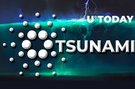 Cardano Has Got “Tsunami” in Works: IOG’s Technical Architect