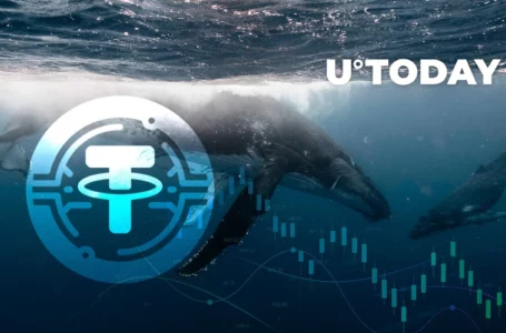 This Is Why Cryptocurrency Market Can’t Go Up: Tether Whales’ Supply