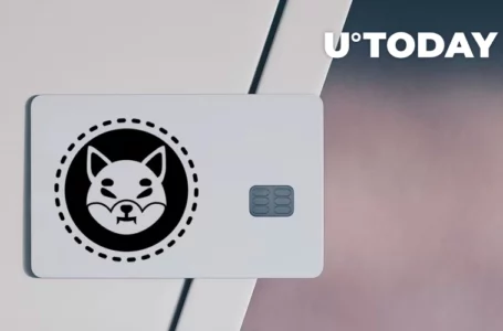 Shiba Inu Now Accepted for Payment on This Online Sneaker Marketplace