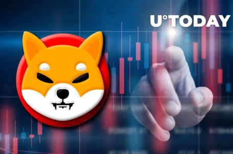 Shiba Inu Average Balance Held by Large Holders Spikes 18% as New Milestones Are Set