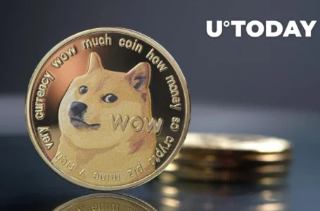 Dogecoin Developer Shows a “Real” DOGE Use Case; Here’s What Transpired