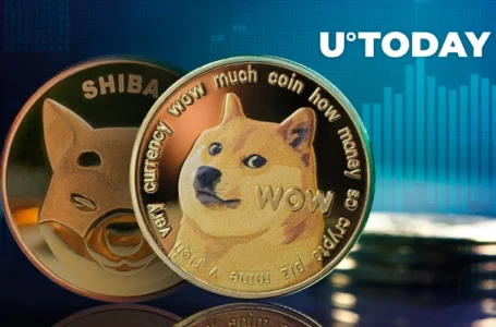 Dogecoin, Shiba Inu and Other Memecoins Show $600 Million in Trading Volume in Last 24 Hours