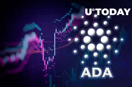 Last Time Sentiment Around Cardano Was This Negative, ADA Surged 25%