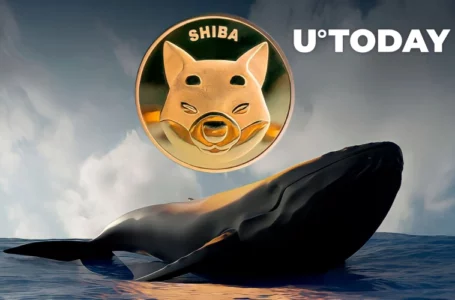 SHIB Returns as Whales’ Biggest Holding and One of Most Purchased Assets