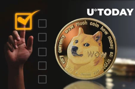 Dogecoin Foundation Director Launches Survey About Potential DOGE Hackathon This Year: Details