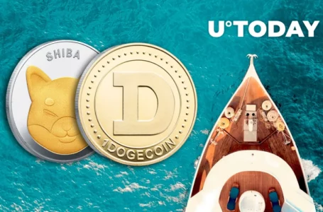 Shiba Inu, Dogecoin Holders Can Now Enjoy Luxury Yacht Services with Their Cryptos