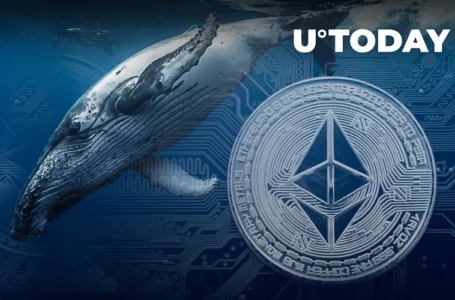 Ethereum Network Saw Influx of 131 Whales as Price Recovers