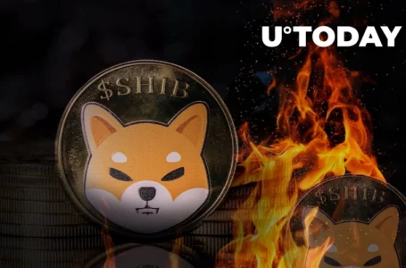 Shiba Inu Lead Dev States Requirements for Massive SHIB Burns; Over 1 Billion SHIB Burned in 7 Days