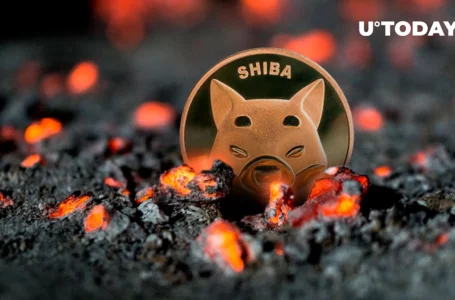 Shiba Inu’s Burn Rate Rises 785% as 573 Million SHIB Are Sent to Dead Addresses