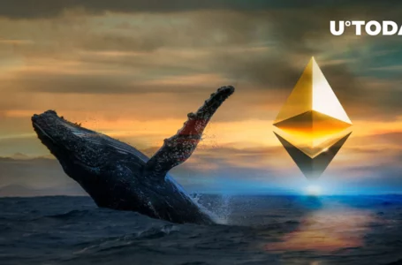 This Ethereum Whale Shoveled $1.7 Billion Worth of Futures in Hour, Here’s Why