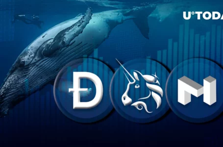 DOGE, MATIC and UNI on Solid Rise Fueled by Large Whale Transactions