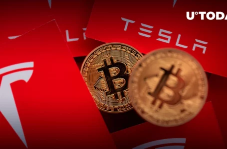 Here’s How Much Tesla Lost by Selling Its Bitcoins at $29,000