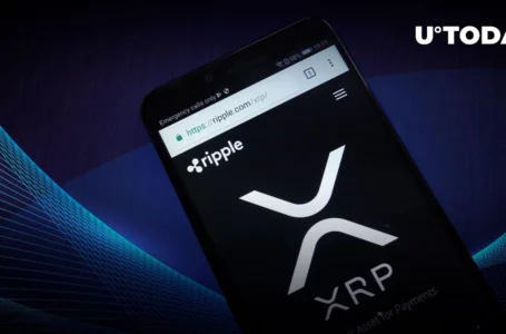 XRP Worth Millions of Dollars Continue to Flow into Exchanges and Wallets, Now Directly from Ripple Address