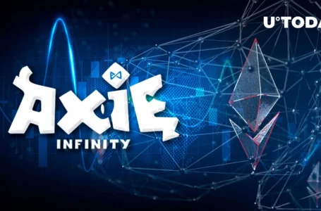 AXS of Axie Infinity Gets Massive Attraction from Biggest ETH with Its Price down 90% Since ATH